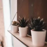 Mazet En Pierre Avec Jardin Privatif 펜션 Sernhac