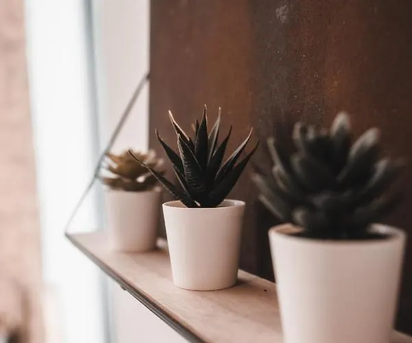 Mazet En Pierre Avec Jardin Privatif Casa de Férias Sernhac